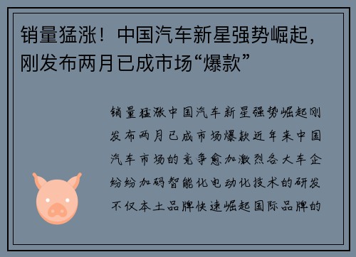销量猛涨！中国汽车新星强势崛起，刚发布两月已成市场“爆款”