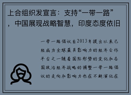 上合组织发宣言：支持“一带一路”，中国展现战略智慧，印度态度依旧保守